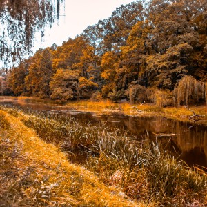 Krzysztof Jaworski-3